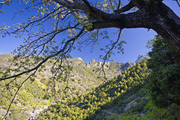 Garganta Tejea en la Sierra de Gredos. España