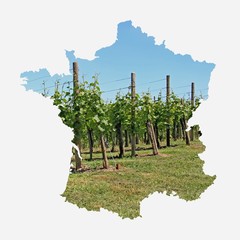 Viticulture française