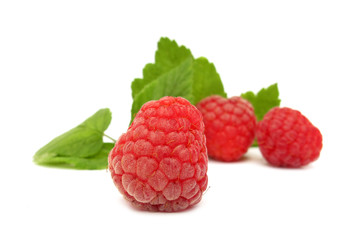 Raspberry with green leaves