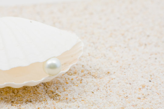 Sea shell with pearl