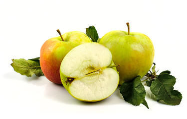 Apples isolated