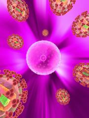 Hi - Viren attackieren eine Zelle