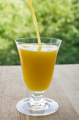 Pouring orange juice in glass on green leaves background