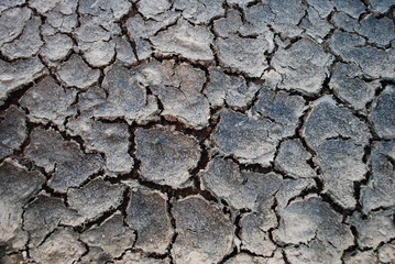 Trockenheit  Dürre