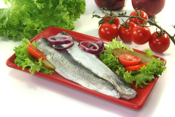 Hering