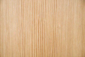 Texture of wood background