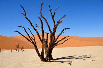 Death Vlei