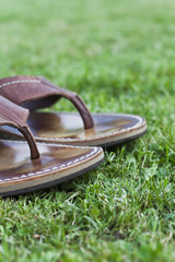 Holliday Concept - Flip Flop Traveling