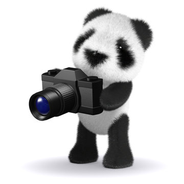 3d Panda holds a camera