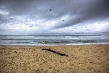 stormy beach