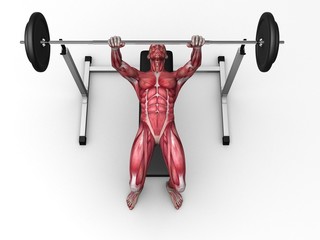 Fitnesstraining - Hantelbank
