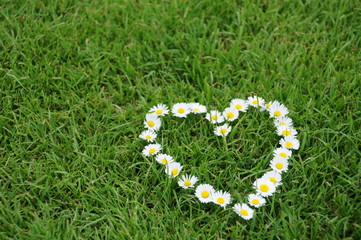 blumenherz heart love flower valentine floral design flowers petal daisy romance romantic wedding...