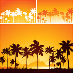 Tropical island background
