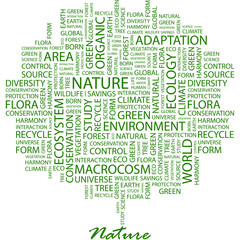 NATURE. Word cloud concept illustration.