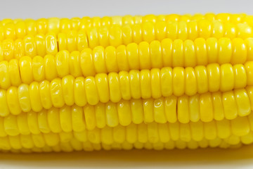Close-up of Corn Cob