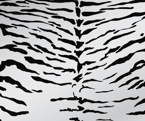 White tiger skin texture