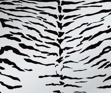 White Tiger Skin Texture