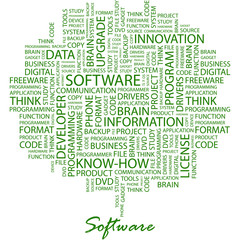 SOFTWARE. Word cloud concept illustration.