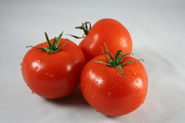 Tomaten  Tomatoes