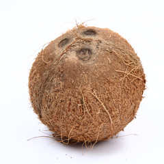 Coconut on white background