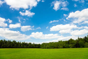 Beautiful green field and blue sky