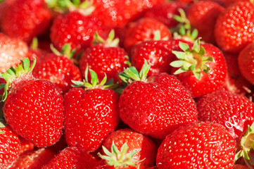 Red ripe strawberries close-up