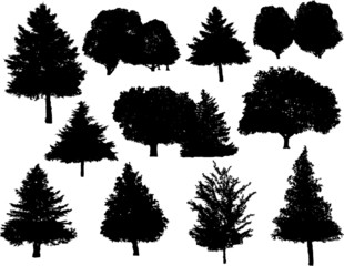 Vector tree silhouettes