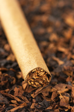 Cigar and tobacco