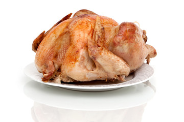 Whole turkey on white background