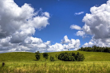 Fototapeta premium Sunny day with blue sky and green grass