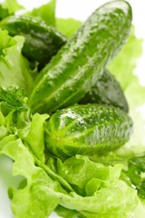 cucumbers and lettuce on the white background