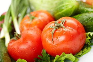 fresh vegetables on the white background
