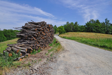 STRADA DI MONTAGNA