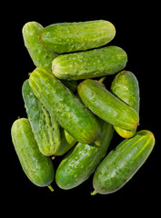 Cucumbers 6