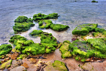 vibrant coastal vista