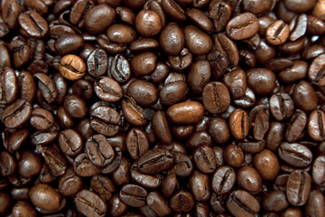 coffee bean background