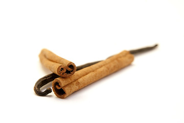 cinnamon sticks with vanilla bean