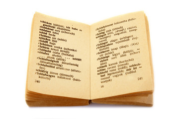 old pocket dictionary