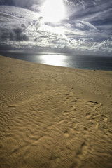 Fototapeta na wymiar dunes on the ocean