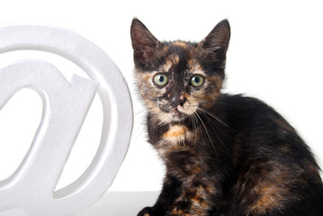 La Tchat sur le Web - Chaton et arobase 02