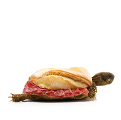 tartaruga al salame