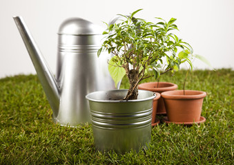 Watering Can