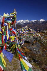 prayer flags and mountain view