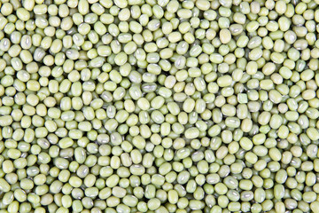 Mung Bean Texture