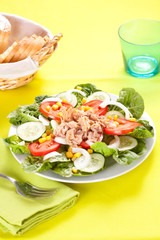 salad tuna tomato corn and onion