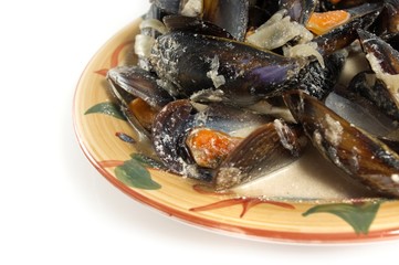 Mussels in cream sauce