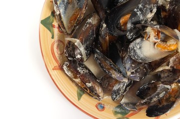 Mussels in cream sauce