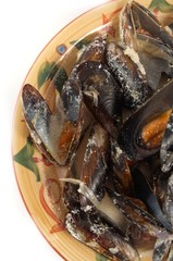 Mussels in cream sauce