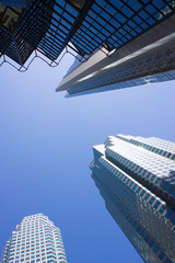 upward view in downtown of Toronto