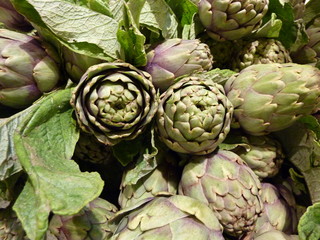 Obraz premium artichauts